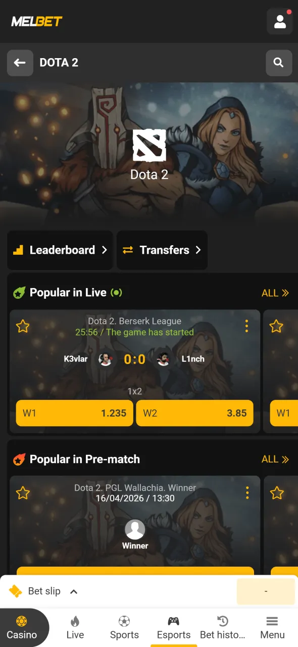 Choose your Dota 2 market on Melbet and place your bet.